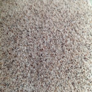 Mohawk 40oz Frieze Now $1.22 sq/ft by Bigfoot Carpet